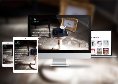 Furniture Showroom